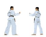 Tae Kwon Do!